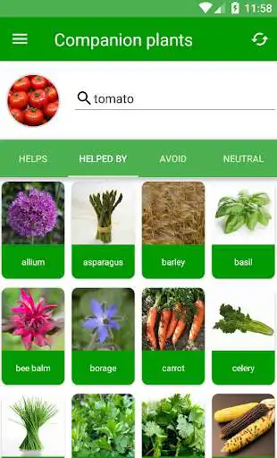 Play APK Plantassoc - companion planting  and enjoy Plantassoc - companion planting with UptoPlay com.livos.companionplants