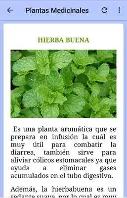 Play Plantas y frutas medicinales gratis