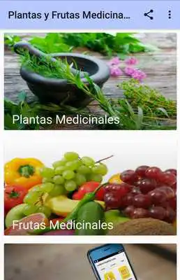 Play Plantas y frutas medicinales gratis