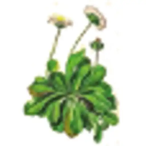 Play Plantbook Demo APK Play Plantbook Demo APK