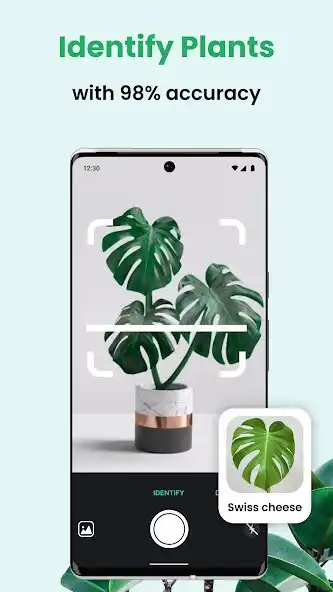 Play PlantCam: AI Plant Identifier  and enjoy PlantCam: AI Plant Identifier with UptoPlay