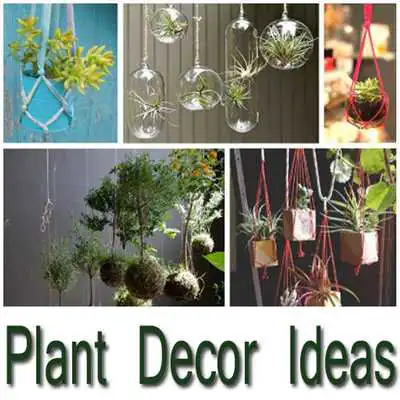 Play Plant Decor Ideas