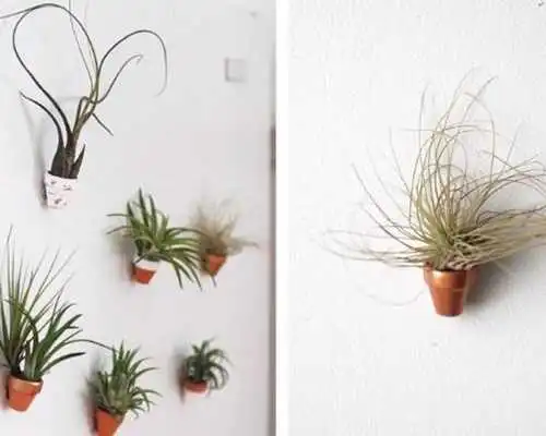 Play Plant Decor Ideas