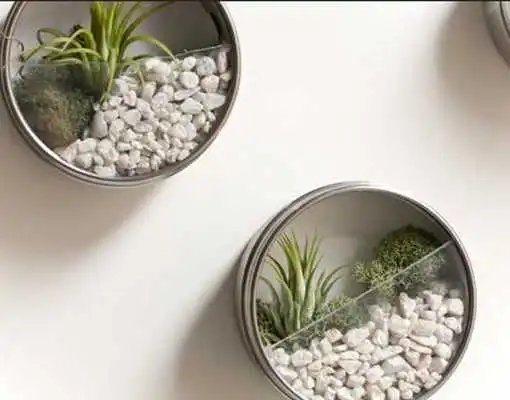 Play Plant Decor Ideas