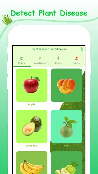 Play Plant Disease Identification app  and enjoy Plant Disease Identification app with UptoPlay