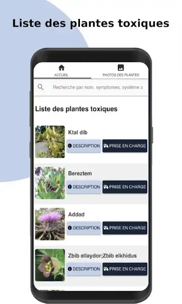 Play Plantes toxiques Maroc  and enjoy Plantes toxiques Maroc with UptoPlay