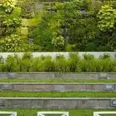 Free play online plant fence APK Free play online plant fence APK
