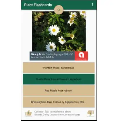 Play Plant Flashcards  and enjoy Plant Flashcards with UptoPlay