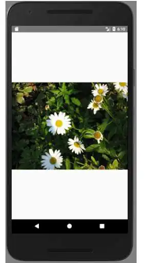 Play Plant Flashcards as an online game Plant Flashcards with UptoPlay