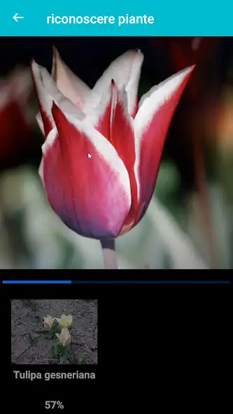 Play Plant  Flower Identification  and enjoy Plant  Flower Identification with UptoPlay