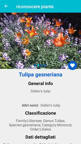 Play Plant  Flower Identification as an online game Plant  Flower Identification with UptoPlay