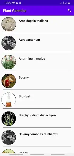 Play Plant Genetics as an online game Plant Genetics with UptoPlay