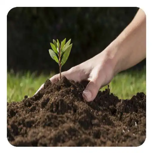 Play Plant Health (Guide) APK Play Plant Health (Guide) APK