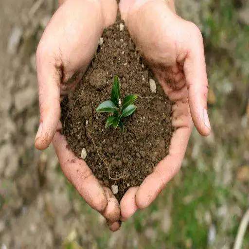 Play Plant Health (Guide)  and enjoy Plant Health (Guide) with UptoPlay