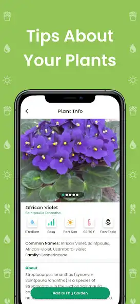 Play Plantiary Plant Identification as an online game Plantiary Plant Identification with UptoPlay
