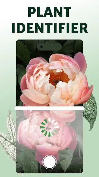 Play Plant ID: AI Plants Identifier  and enjoy Plant ID: AI Plants Identifier with UptoPlay