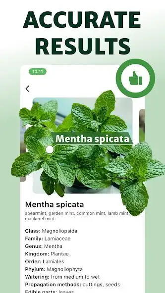 Play Plant ID: AI Plants Identifier as an online game Plant ID: AI Plants Identifier with UptoPlay