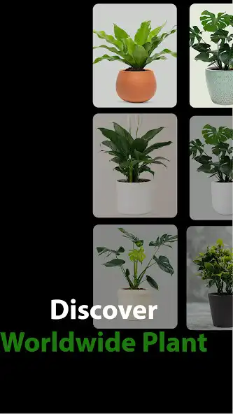 Play Plant Identifier  Plant Care  and enjoy Plant Identifier  Plant Care with UptoPlay