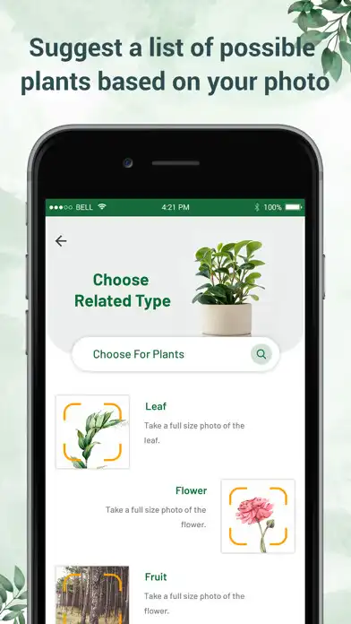 Play Plant identifier - Plant ID as an online game Plant identifier - Plant ID with UptoPlay