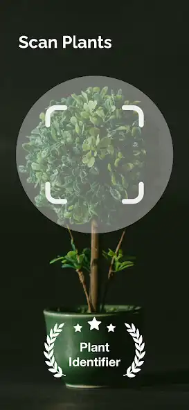 Play Plant Identifier: Plants  and enjoy Plant Identifier: Plants with UptoPlay
