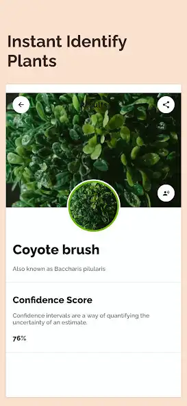 Play Plant Identifier: Plants as an online game Plant Identifier: Plants with UptoPlay