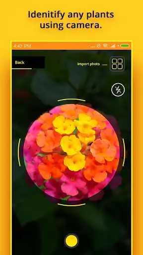 Play Plant Identifier  and enjoy Plant Identifier with UptoPlay