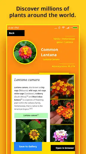 Play Plant Identifier as an online game Plant Identifier with UptoPlay