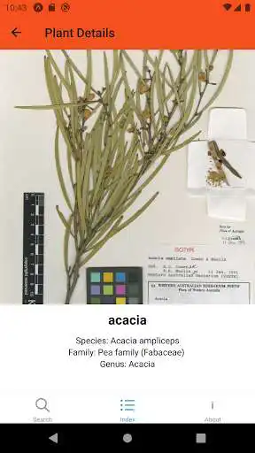 Play Plant Index  and enjoy Plant Index with UptoPlay