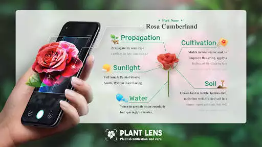 Play Plant Lens - Plant Flower Identification and enjoy Plant Lens - Plant Flower Identification with UptoPlay Play Plant Lens - Plant Flower Identification and enjoy Plant Lens - Plant Flower Identification with UptoPlay