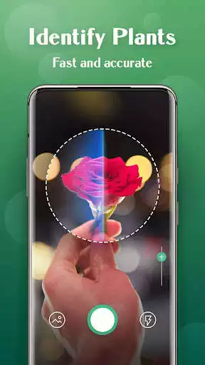 Play Plant Lens - Plant Flower Identification as an online game online Plant Lens - Plant Flower Identification with UptoPlay Play Plant Lens - Plant Flower Identification as an online game Plant Lens - Plant Flower Identification with UptoPlay