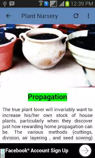 Play Plant Nursery  and enjoy Plant Nursery with UptoPlay