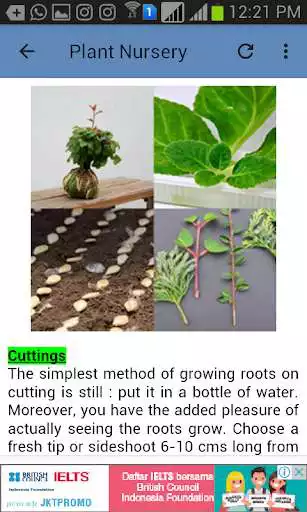 Play Plant Nursery as an online game Plant Nursery with UptoPlay