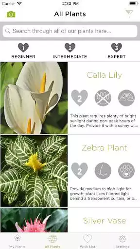 Play Plant Pal  and enjoy Plant Pal with UptoPlay