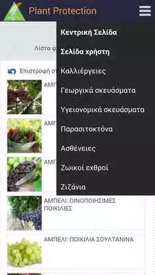 Play Plant Protection