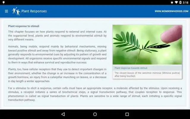 Play Plant Responses as an online game Plant Responses with UptoPlay