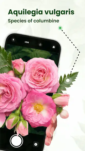 Play Plant Scanner  Identification as an online game Plant Scanner  Identification with UptoPlay