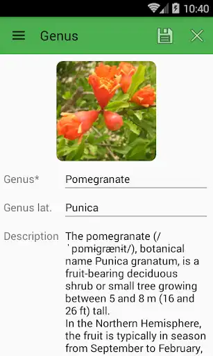 Play Plants Diary and enjoy Plants Diary with UptoPlay Play Plants Diary and enjoy Plants Diary with UptoPlay