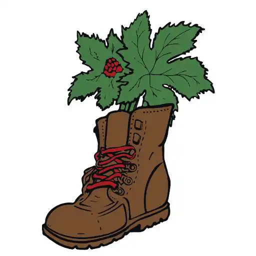 Play PlantShoe APK