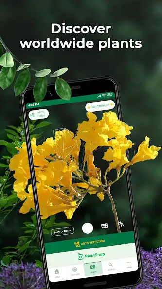 Play PlantSnap plant identification  and enjoy PlantSnap plant identification with UptoPlay