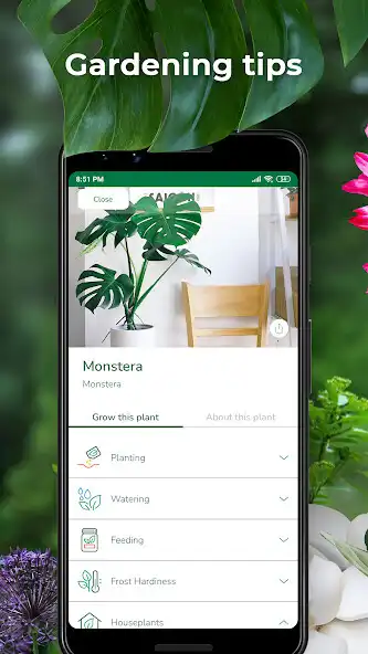 Play PlantSnap plant identification as an online game PlantSnap plant identification with UptoPlay