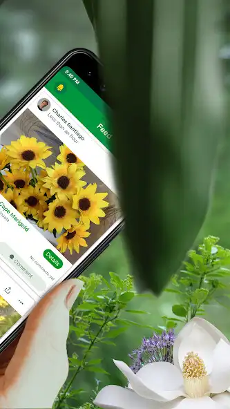 Play PlantSnap Pro as an online game PlantSnap Pro with UptoPlay