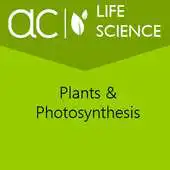 Free play online Plants  Photosynthesis APK