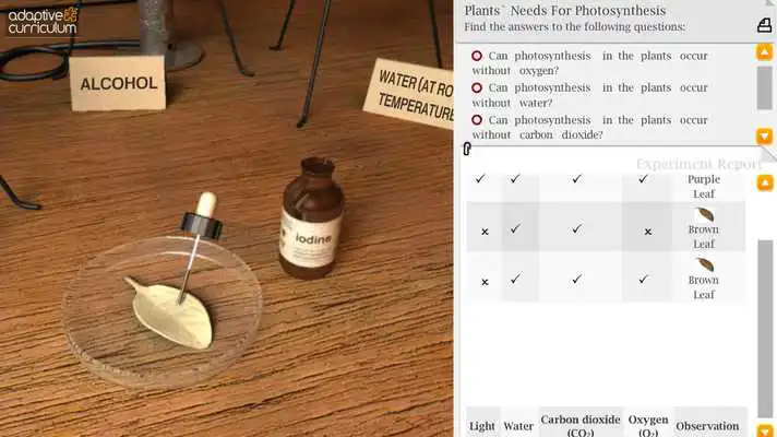 Play Plants  Photosynthesis