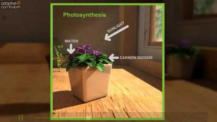 Play Plants  Photosynthesis