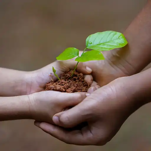 Play Plants Tracker -Indoor Outdoor APK