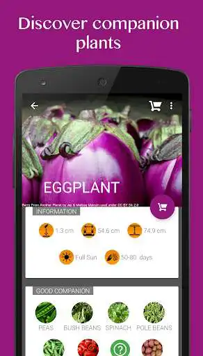Play Plants, Vegetables & Herbs, Info + Care Reminders  and enjoy Plants, Vegetables & Herbs, Info + Care Reminders with UptoPlay