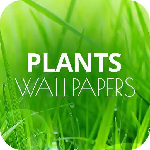Play Plants Wallpapers in 4K APK Play Plants Wallpapers in 4K APK
