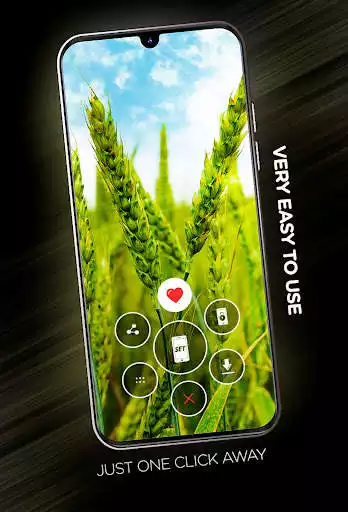 Play Plants Wallpapers in 4K as an online game Plants Wallpapers in 4K with UptoPlay