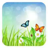 Free play online Plant Theme APK