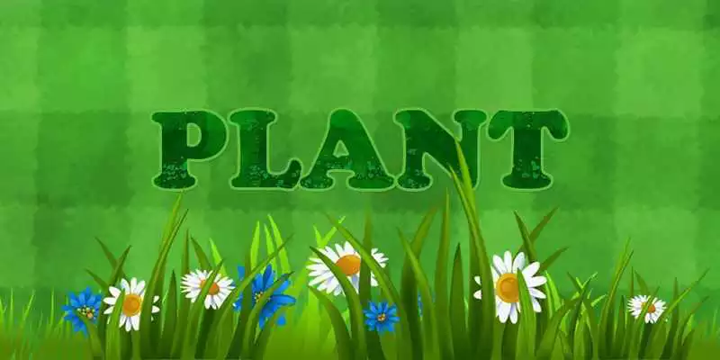 Play Plant Theme